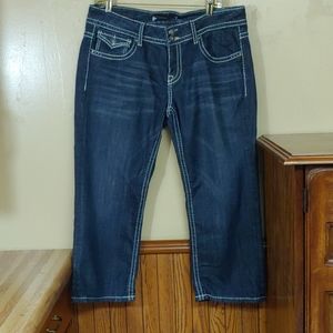 Vigoss  🥳HOST PIC 🥳 FIT Embellished Jean Capri 32